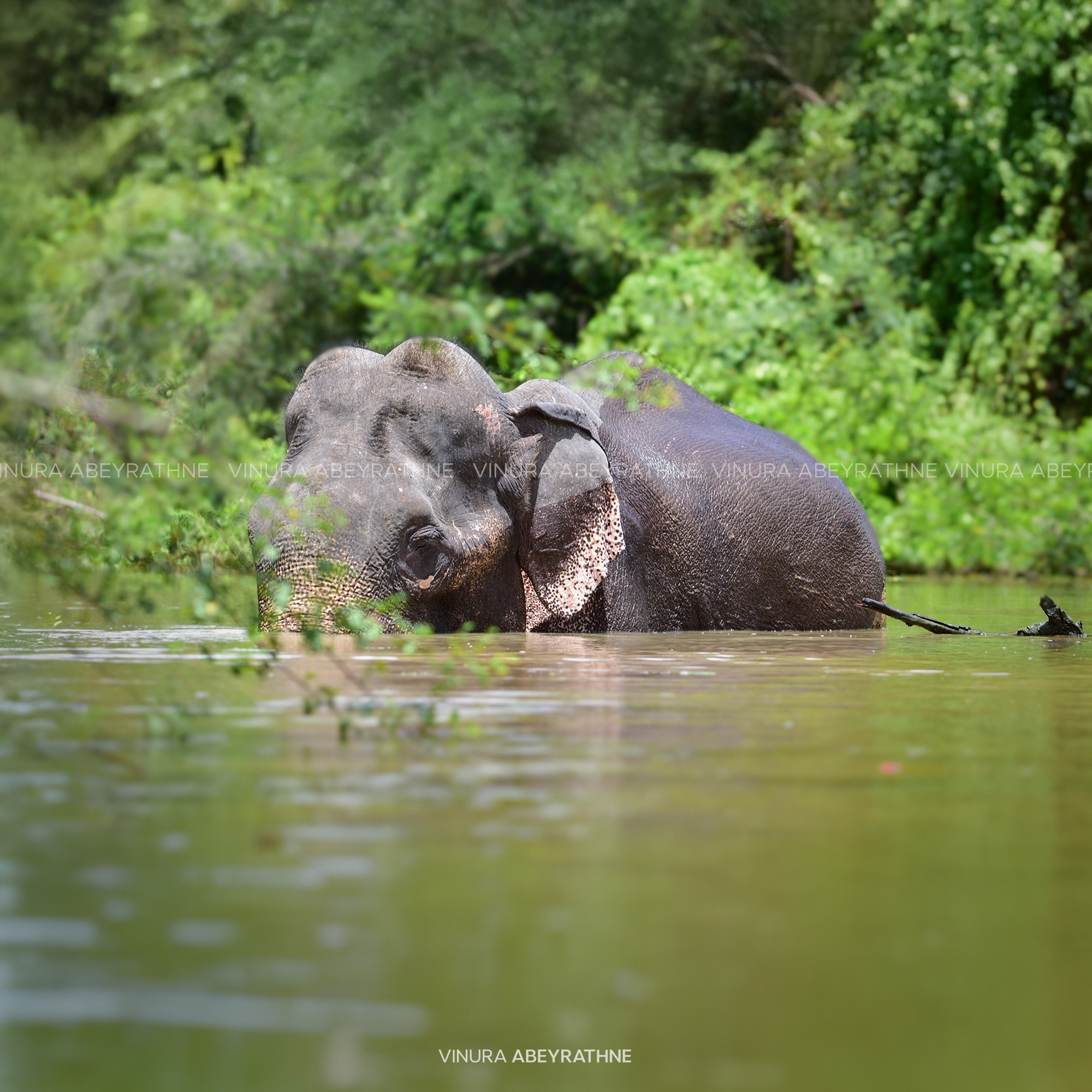 Stuck in Water for Two Days